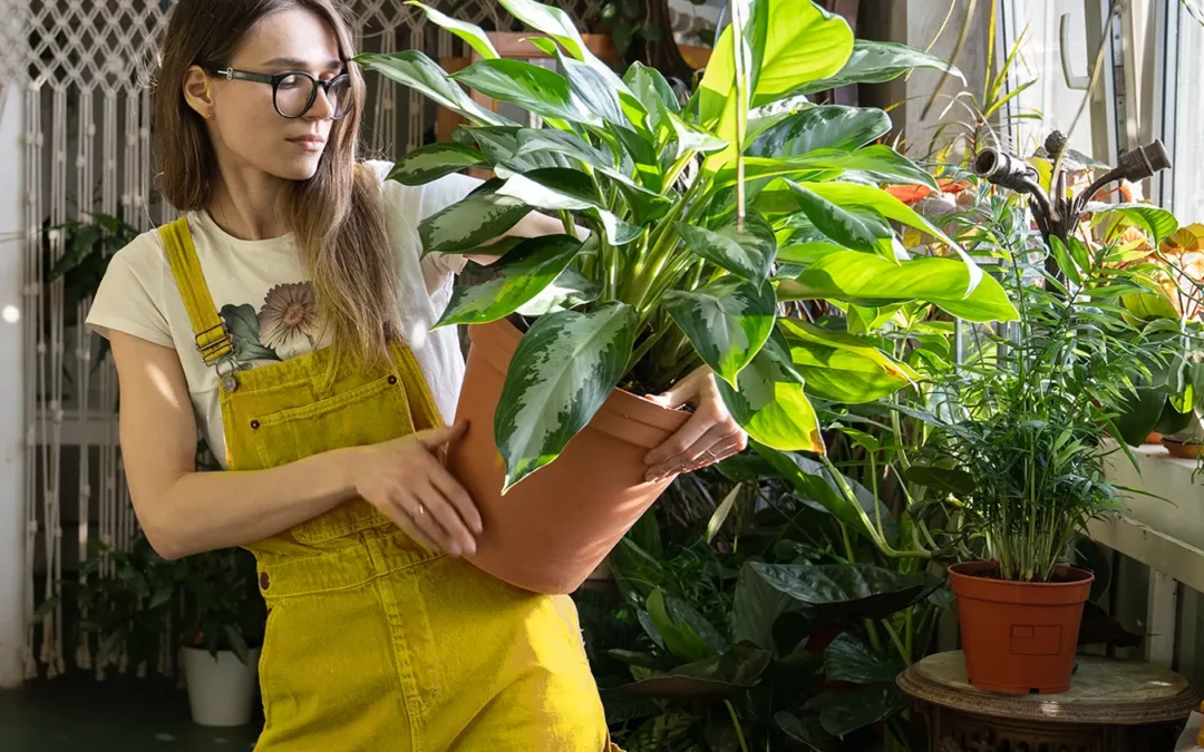 Come Creare la Tua Urban Jungle: Piante da Appartamento per Vivere nel Verde